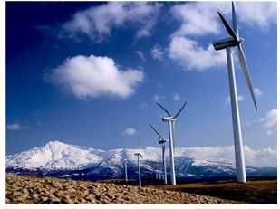 印度风力发电装机容量跃居全球第四